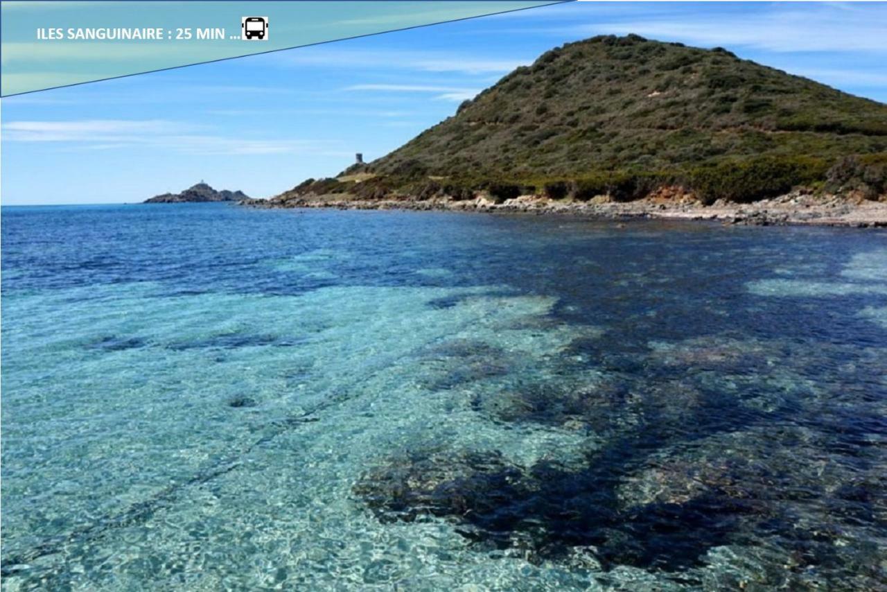 Centre Ajaccio ☆ Wifi ☆ Clim ☆ Plages מראה חיצוני תמונה